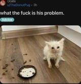 1726794529091601