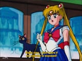 db8a46e0ae3494f3bbb81d52eaf68e2a--i-dont-care-sailor-moon