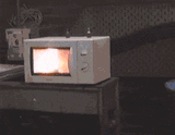 giphy (5)