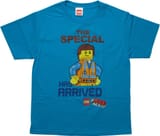 youth-t-shirt-lego-movie-special-arrive__78097.1600371233.500.750