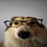 1737177735589351