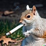 sox4l5mlhrf91