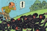 tintin