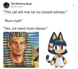 Thread 33369349 OP Image