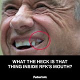 Whatinhemouf