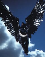 FD3DA147-C919-43CA-8A82-2D3E526E0324