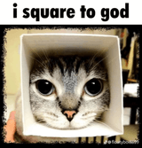 Thread 33374619 OP Image