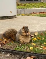 IMG_1471