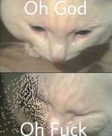 1706856411757745