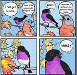 qxs83jrqymv51