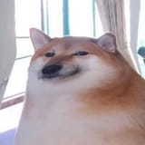 1658112301833634