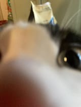 1639524619593m