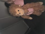 Monekee