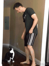 longcat