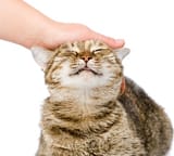 13689