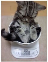 Every time I step on a scale to weigh myself I feel like this_