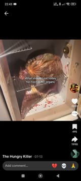 Thread 33396813 OP Image