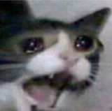 cry