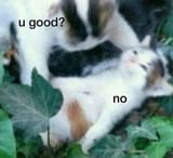 ugood