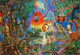 dmt5