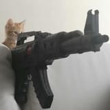 kitty meow meow with assault rifle