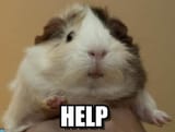Thread image