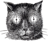 Thread image