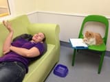 Therapist cat