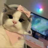 котик-геймер
