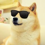 doge-gettin-jiggy-480x480