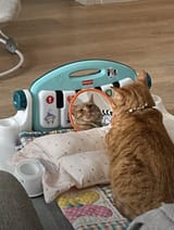 IMG_6457