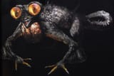 basilisk_concept_art_header_full