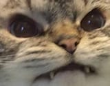 1601731735953