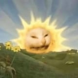 cryingcat-risingsun