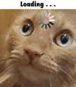marmalady-loading-cat_thumb.jpg