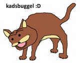 kadsbuggel