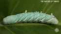 1754451394753925[1]_thumb.jpg