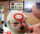 listen_BITE