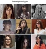 femcels