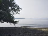 IMG_20250802_160446