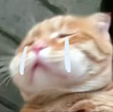 °❀⋆_ೃ࿔__･