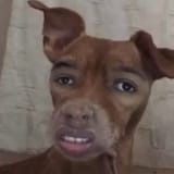 92376