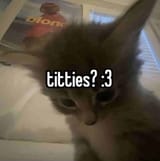 4ad57d4cd070c29c33dd6c108100e157