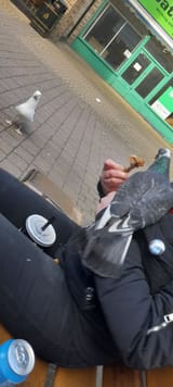 1731181408866646