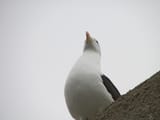 IMG_0140