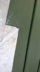 bat bark lubeebatconservancy [sound=https%3A%2F%2Ffiles.catbox.moe%2Fi1if1p.mp4]_thumb.jpg