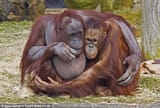 good friends