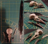 Image5a
