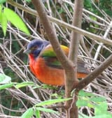 IMG_20250407_062804