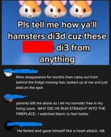 56754674755454